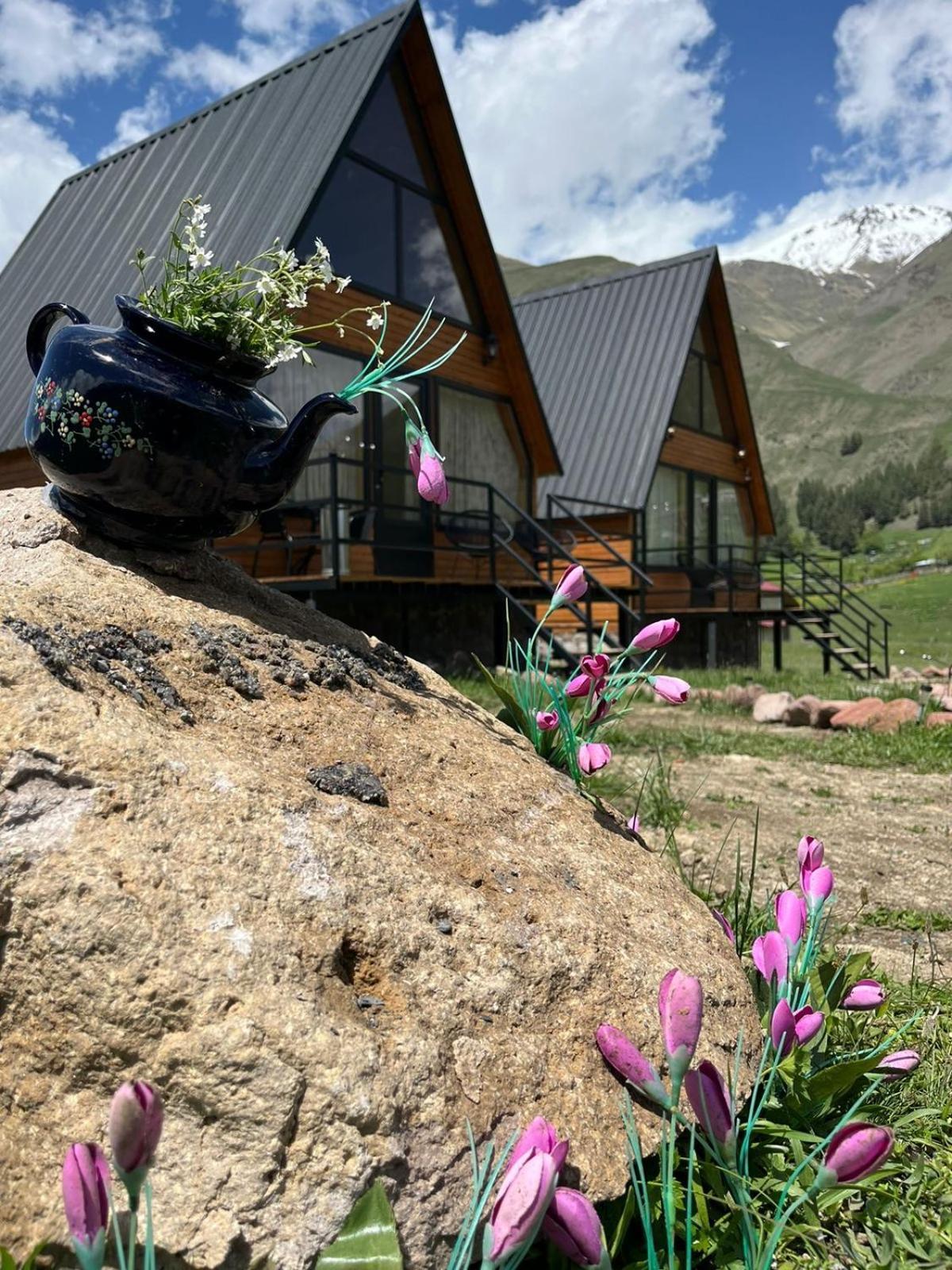 Mtisguli Cottages Kazbegi Exterior foto